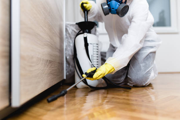 Best Pest Prevention Services  in Richmond, TX