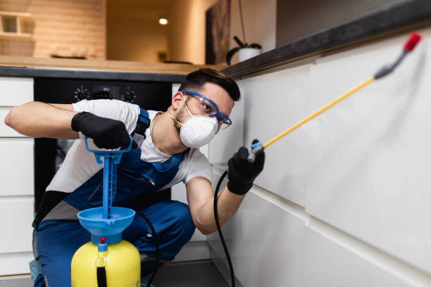 Best Pest Control for Homes  in Richmond, TX