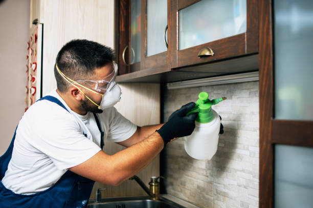 Best Termite Control Services  in Richmond, TX