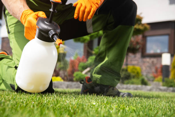 Best Wildlife Control Services  in Richmond, TX
