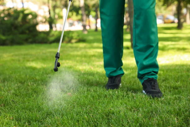 Best Pest Removal Services  in Richmond, TX
