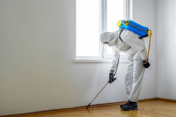 Best Termite Control Services  in Richmond, TX