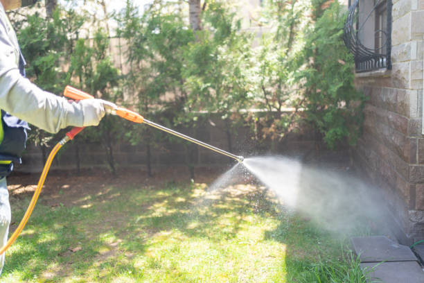 Best Residential Pest Control  in Richmond, TX