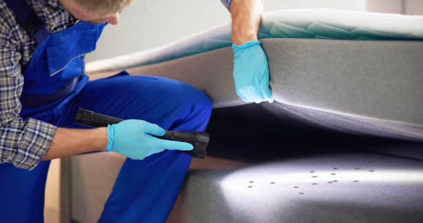 Best Pest Control for Homes  in Richmond, TX