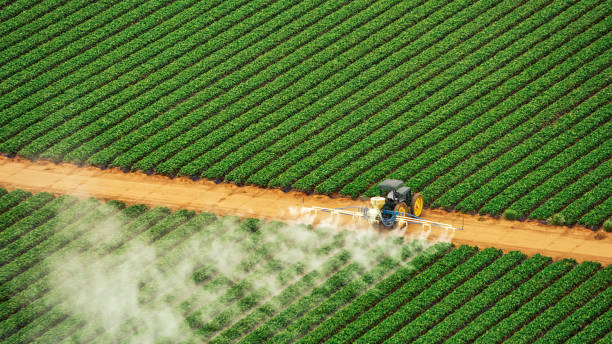 Professional Pest Control in Richmond, TX
