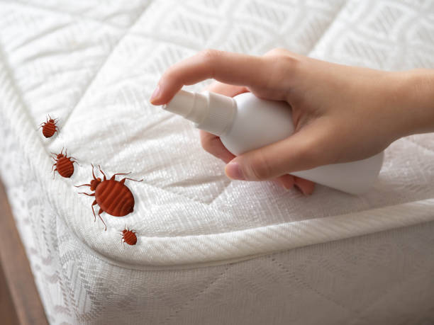  Richmond, TX Pest Control Pros
