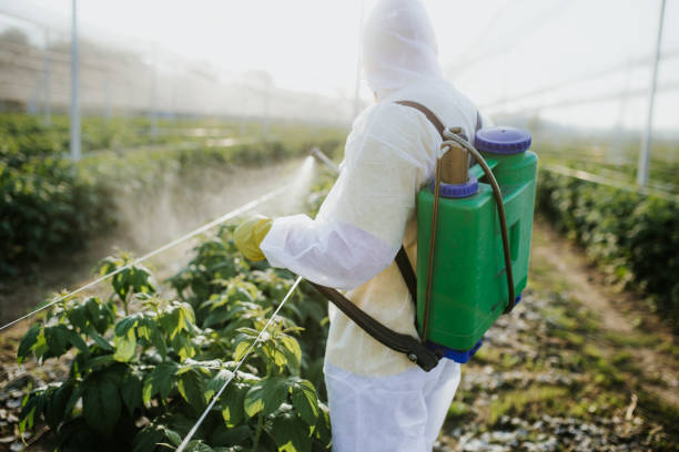 Best Pest Inspection Near Me  in Richmond, TX